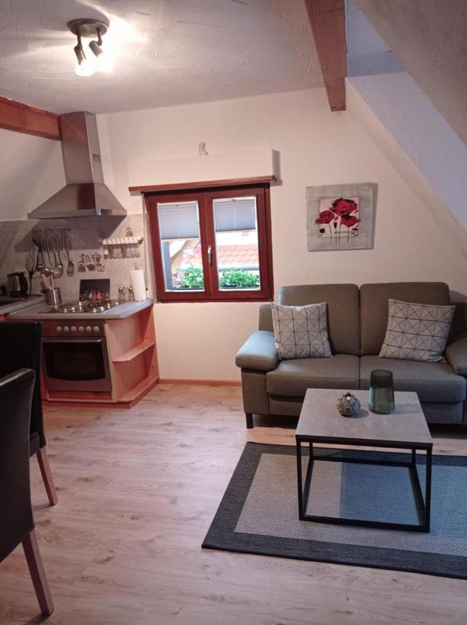 Gaestehaus Ehrhardt Schweigen-Rechtenbach Luaran gambar